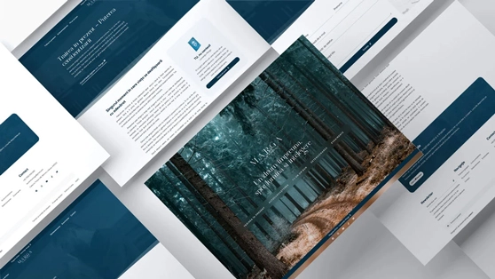 Dezvoltare Website - Realizare Website - Laurentiu Marga