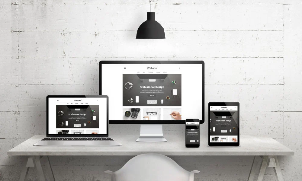 Website profesional